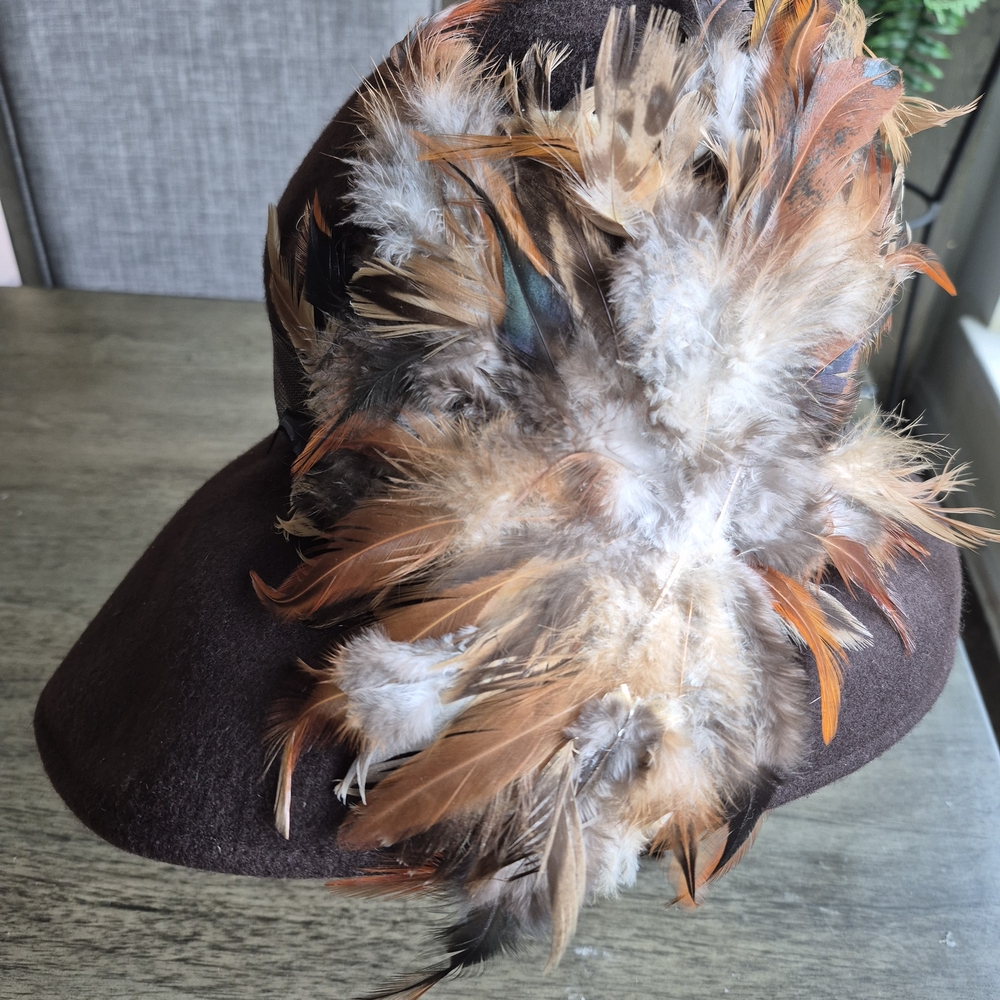 Brown Feathered Hat